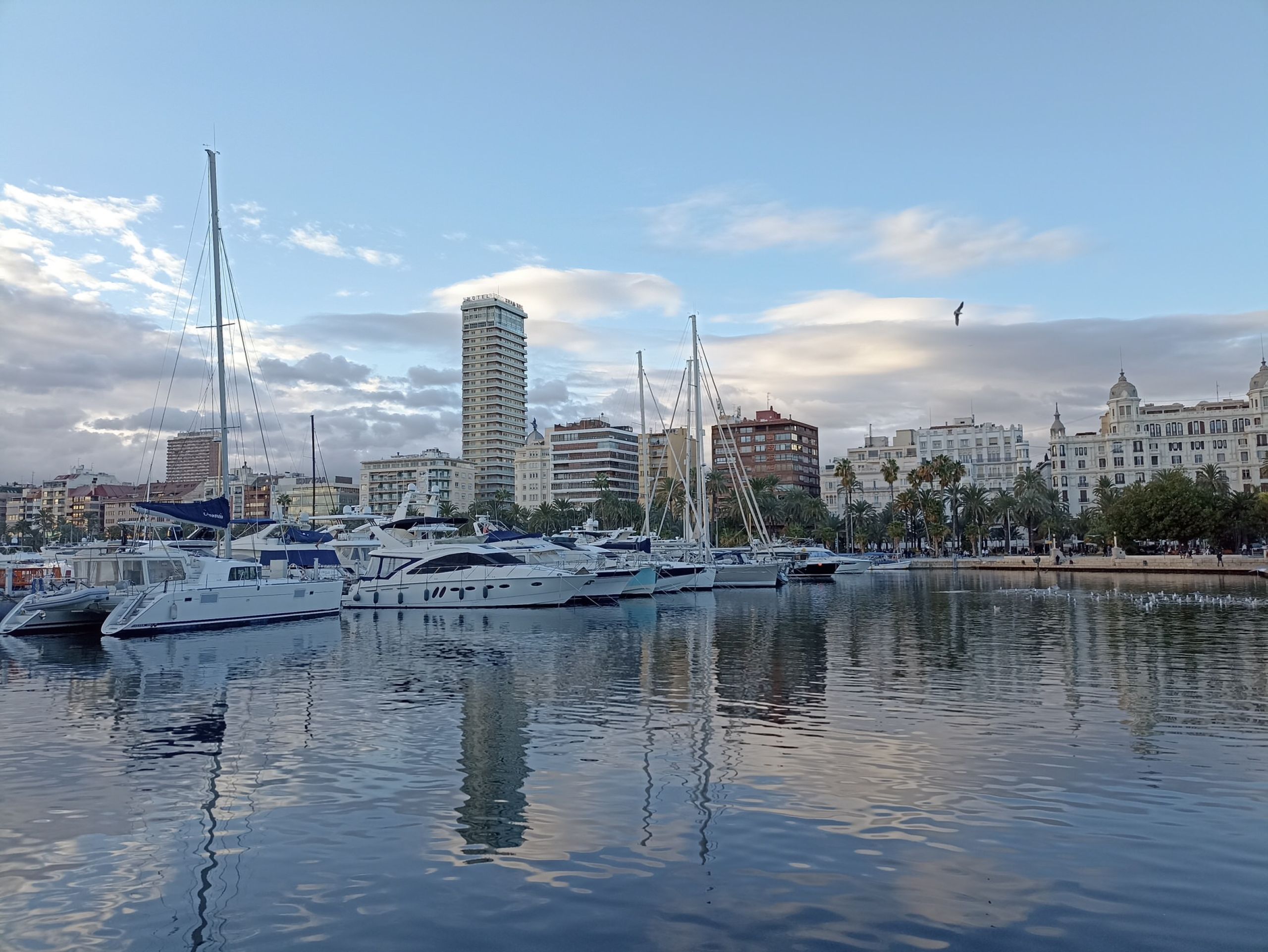 Vive Alicante desde puerto Alquilar velero Alicante